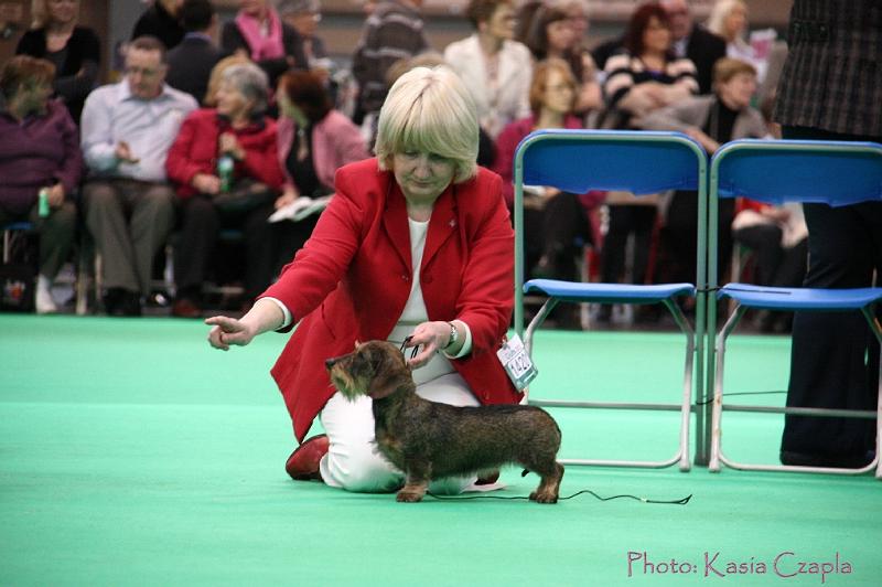 Crufts2011_2 1443.jpg